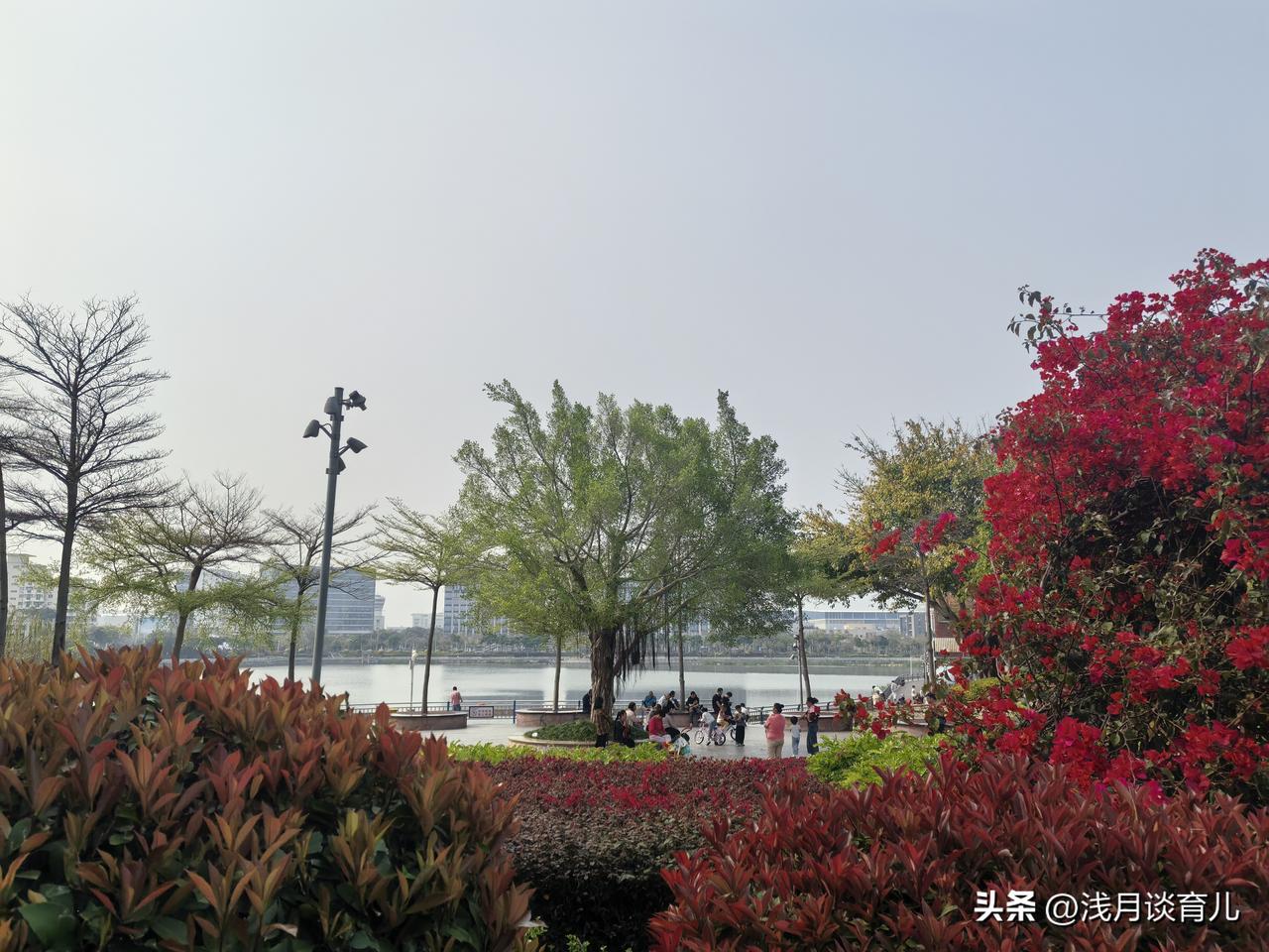 春天带娃，别忙着纠正，先学会倾听。
 
孩子爱顶嘴、爱说“不”，
很多家长都以为