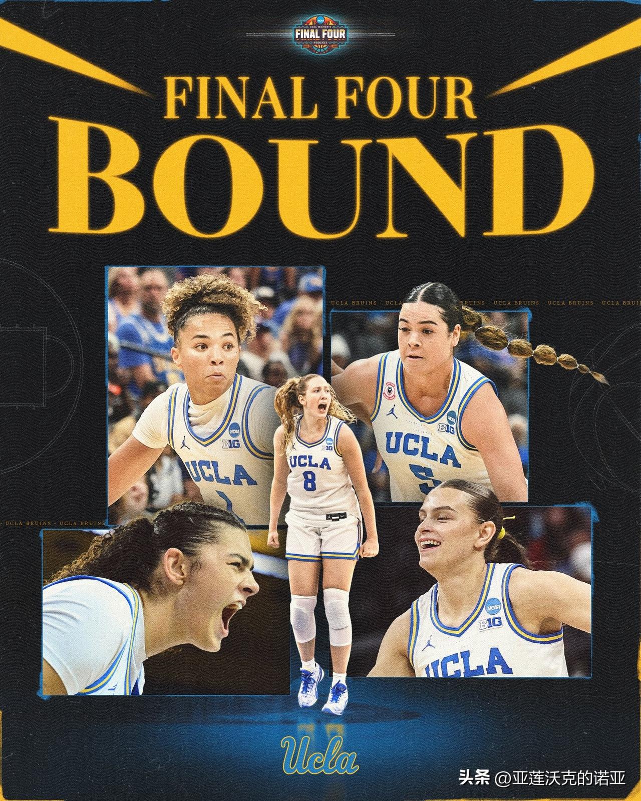 UCLA连续两年晋级最终四强，回想NCAA时代的前42个赛季里，棕熊甚至一次四强