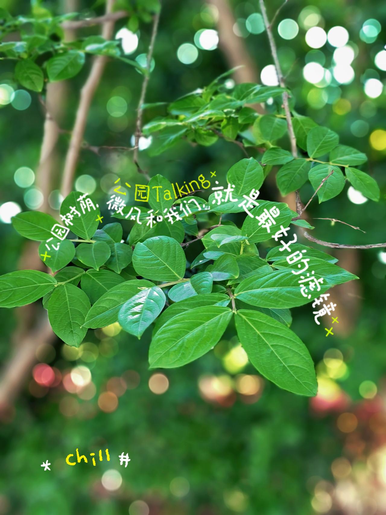 花开成景，
风来成诗。

春天的美好，
是风用了心，
是花开了意。

春天的每一