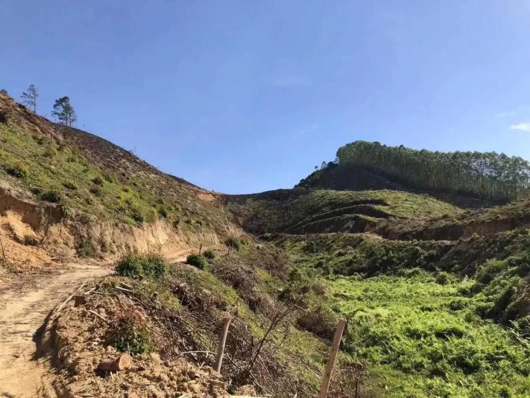 为泄私欲竟纵火烧山，必须惩处。近日，云南一男子为发泄情绪，窜至村后的小冲头山上实