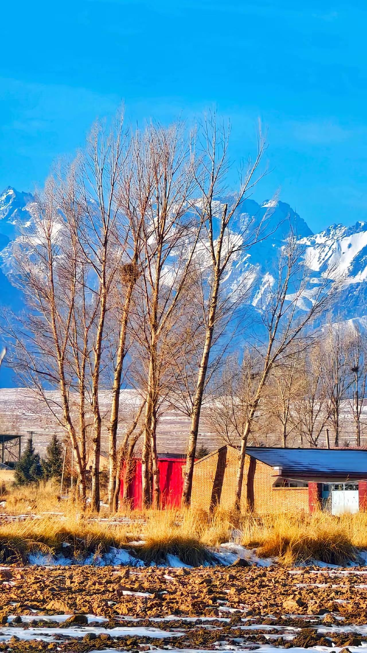 日头刚擦着塬边沉下去，村口的戏台就亮了。汽油灯扯着暖黄的光，把“秦腔剧团”四个红