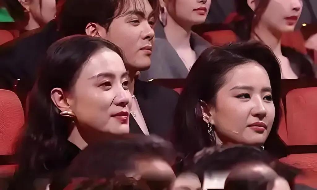 刘亦菲宋佳在演艺界展现了不同的演艺生涯，给观众们创造了一部又一部的好剧，感谢你们