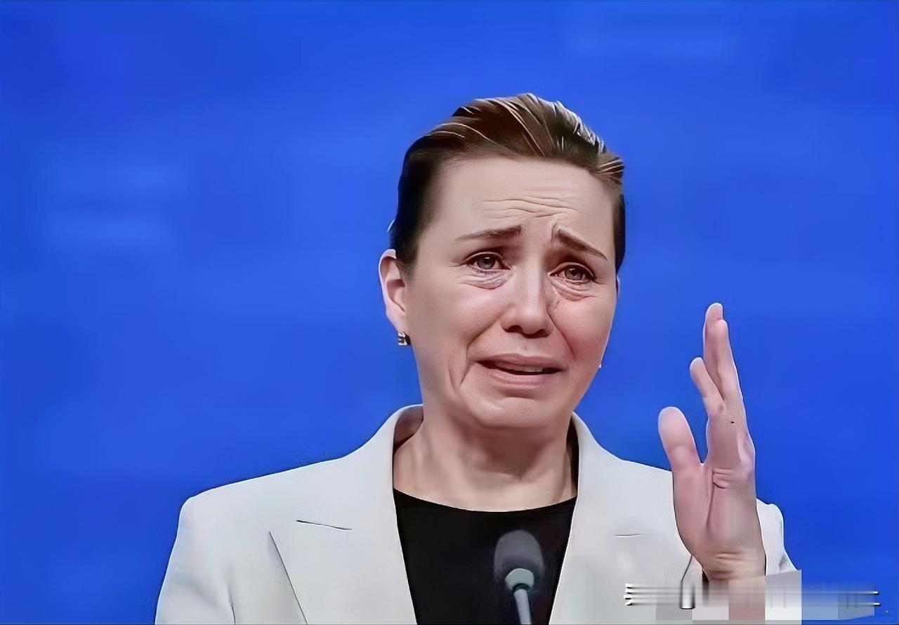 丹麦首相哭泣着向全球声援，格陵兰岛属于丹麦，美国不能说拿走就拿走，可是现在国际局