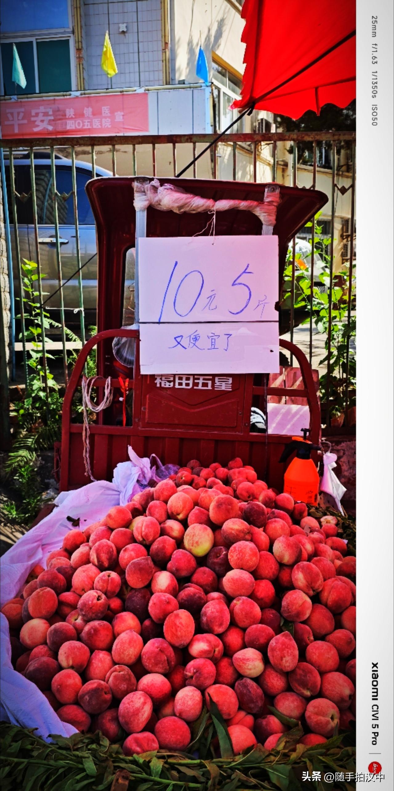 昨日的桃儿是10元4斤，今日便是10元5斤。咬一口桃儿的甜蜜汁水，夏日不再是燥热