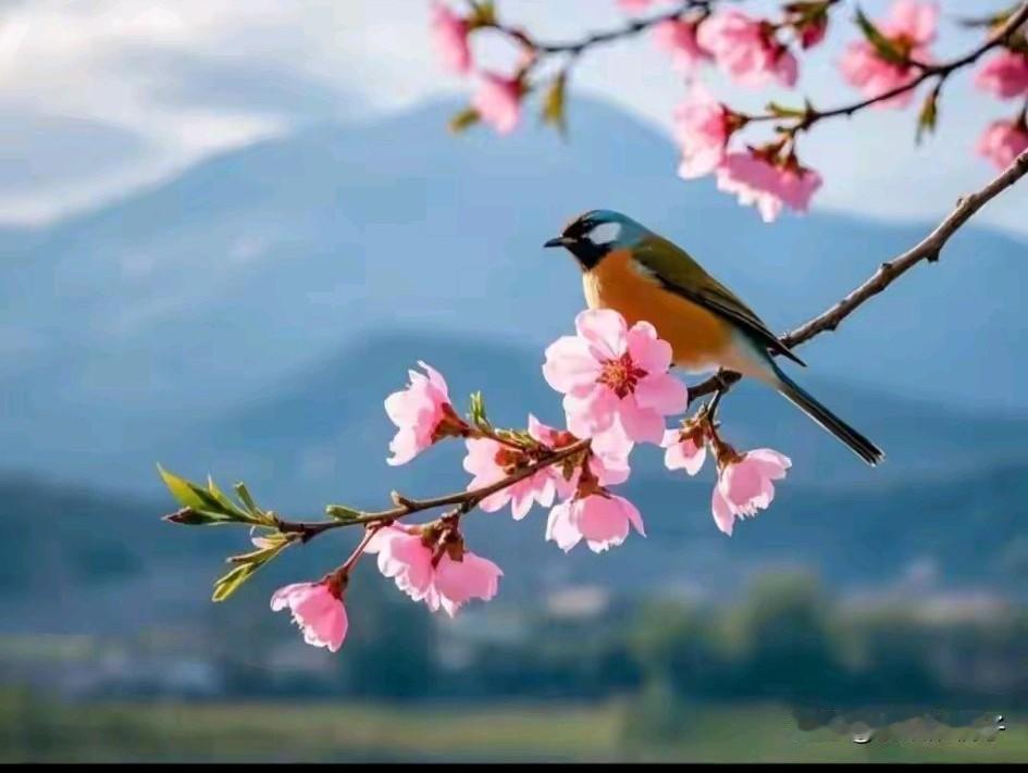 高考报考，是选一所好学校，还是选一个好专业？我认为好专业比好学校好。有的学生分不