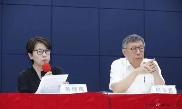 金流争议“会计师三大错误”    黄珊珊：民众党会配合调查

民眾黨主席柯文哲因