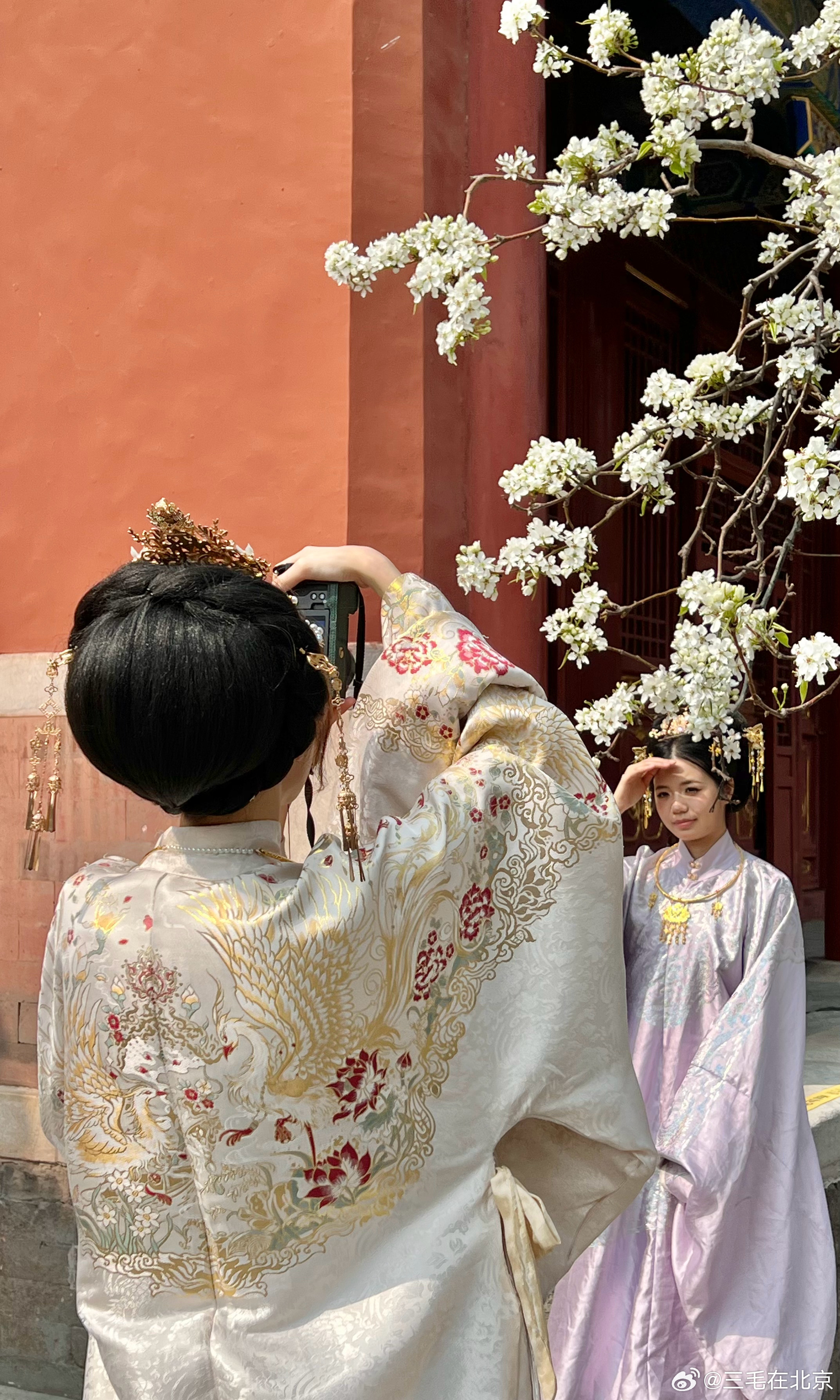 故宫博物院 寿康宫 梨花映美人摄影