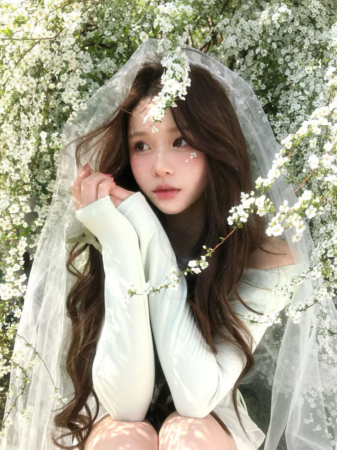 春天有花神🪽🍀 。· ₊