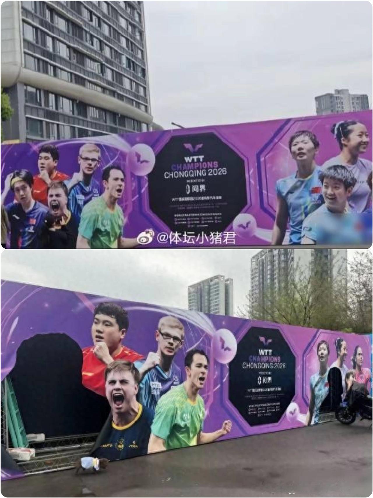 王楚钦、
孙颖莎
重庆冠军赛宣传图像被剪掉，其他选手完好！

国乒海报这件事，越