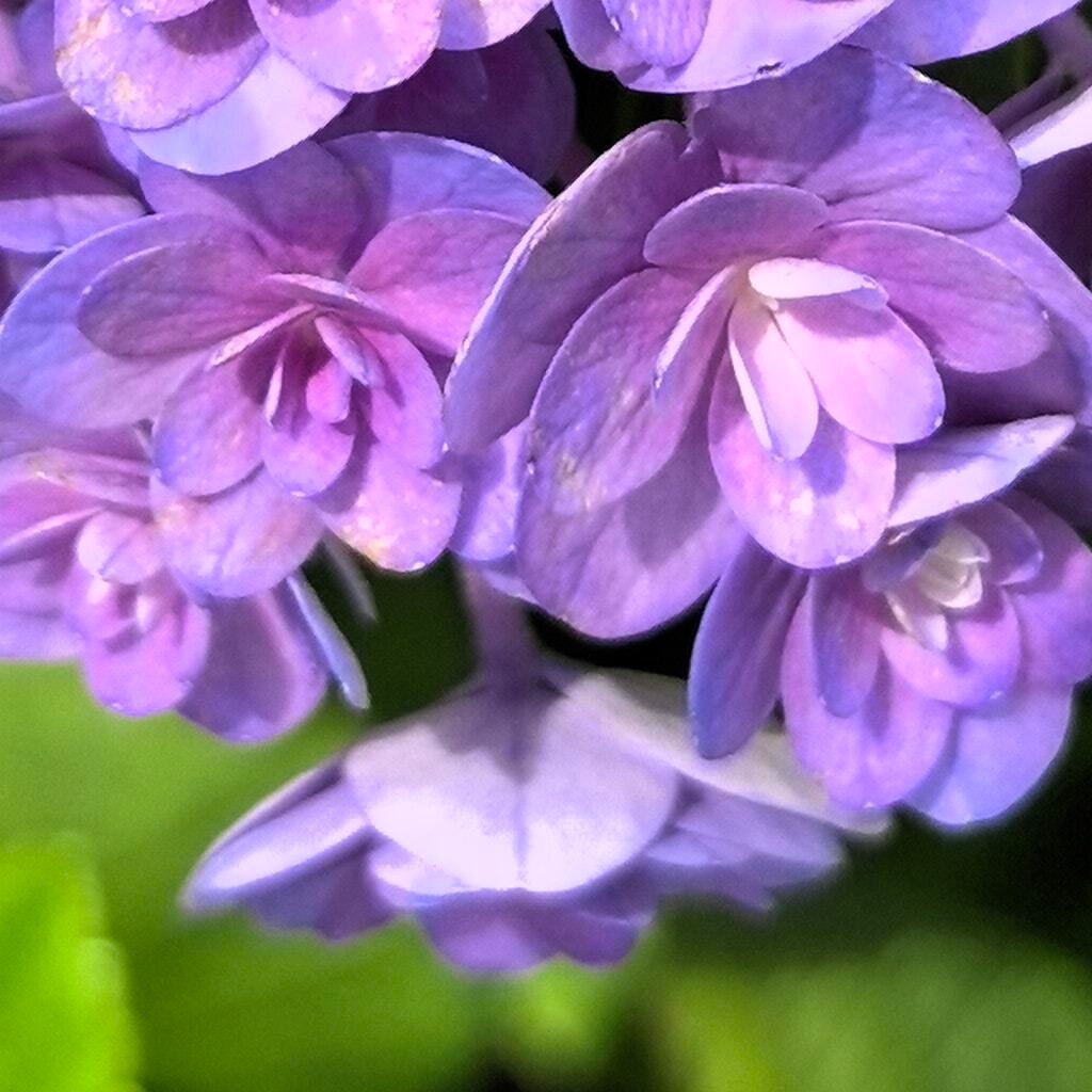 阳光信用  💫阳光信用  💫每日一善只有你学会把自己已有的成绩都归零，才能腾