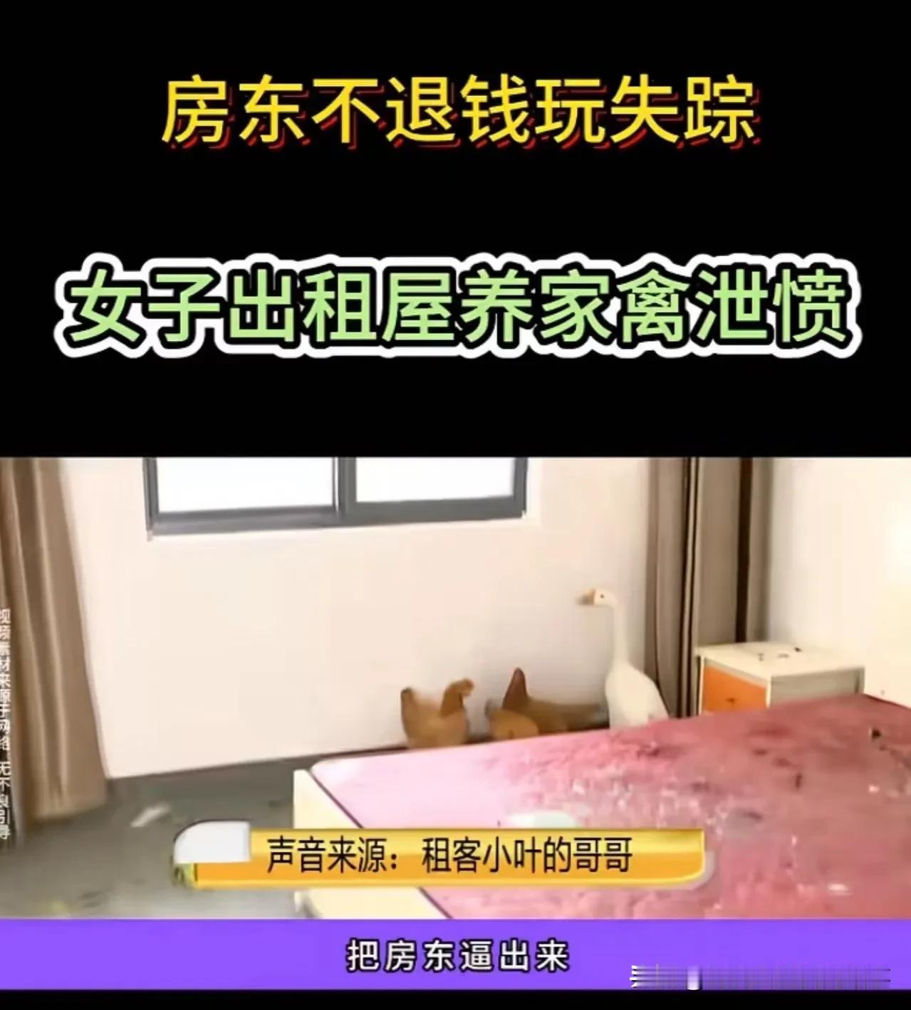 这件事本质是押金纠纷引发的极端对抗，房东恶意不退押金是矛盾根源，女生养鸡逼退的方