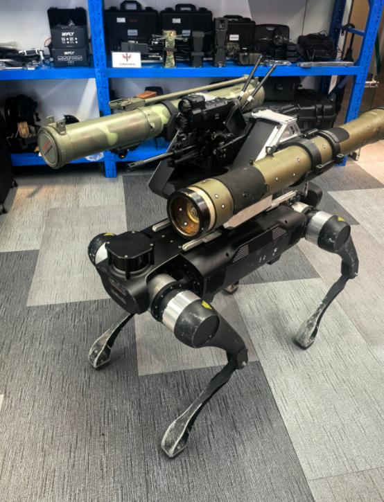 “兔子的火力不足恐惧症永远都治不好”，这句在国内军迷圈中“传颂多年的名言”，果然