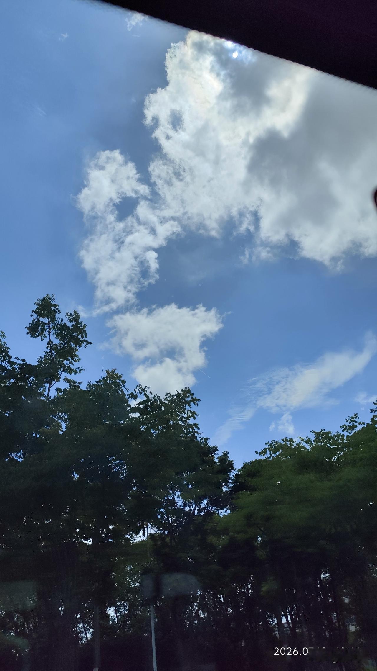 你能识破假权威假福利的诈骗手段吗当今社会骗子多，防不胜防！但如果每个人不贪小利，