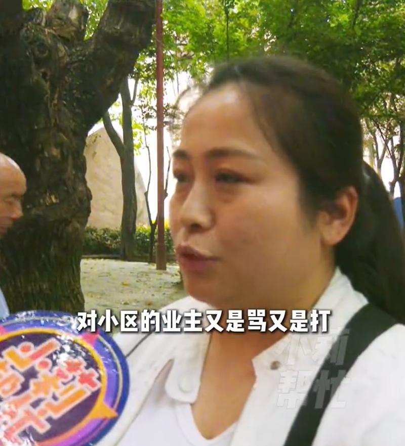 这是谁？这是为业主服务的物业经理呢，还是快活林霸道的蒋门神？
前不久，河南驻马店