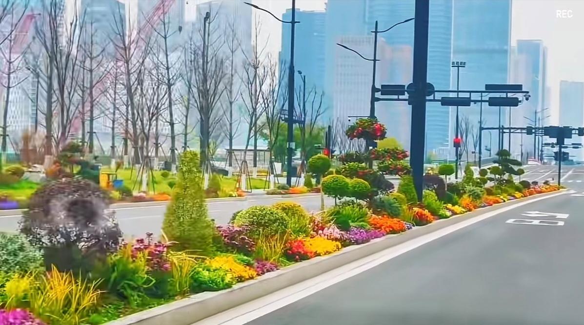 杭州城区绿化的审美，非常的在线。遇见这样的绿化带，不论是开车路过，也是行人散步，