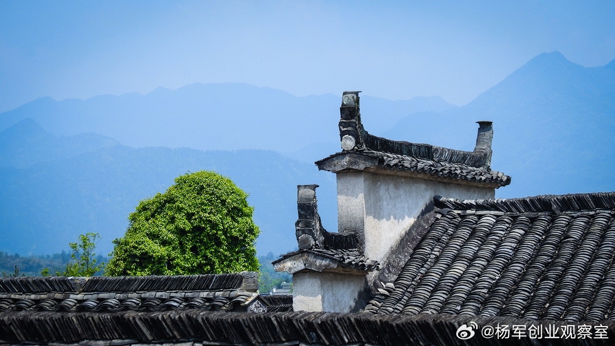 投资机构的投后管理，主要有两种典型风格：1. 主动干预型：深度参与企业运营，在战