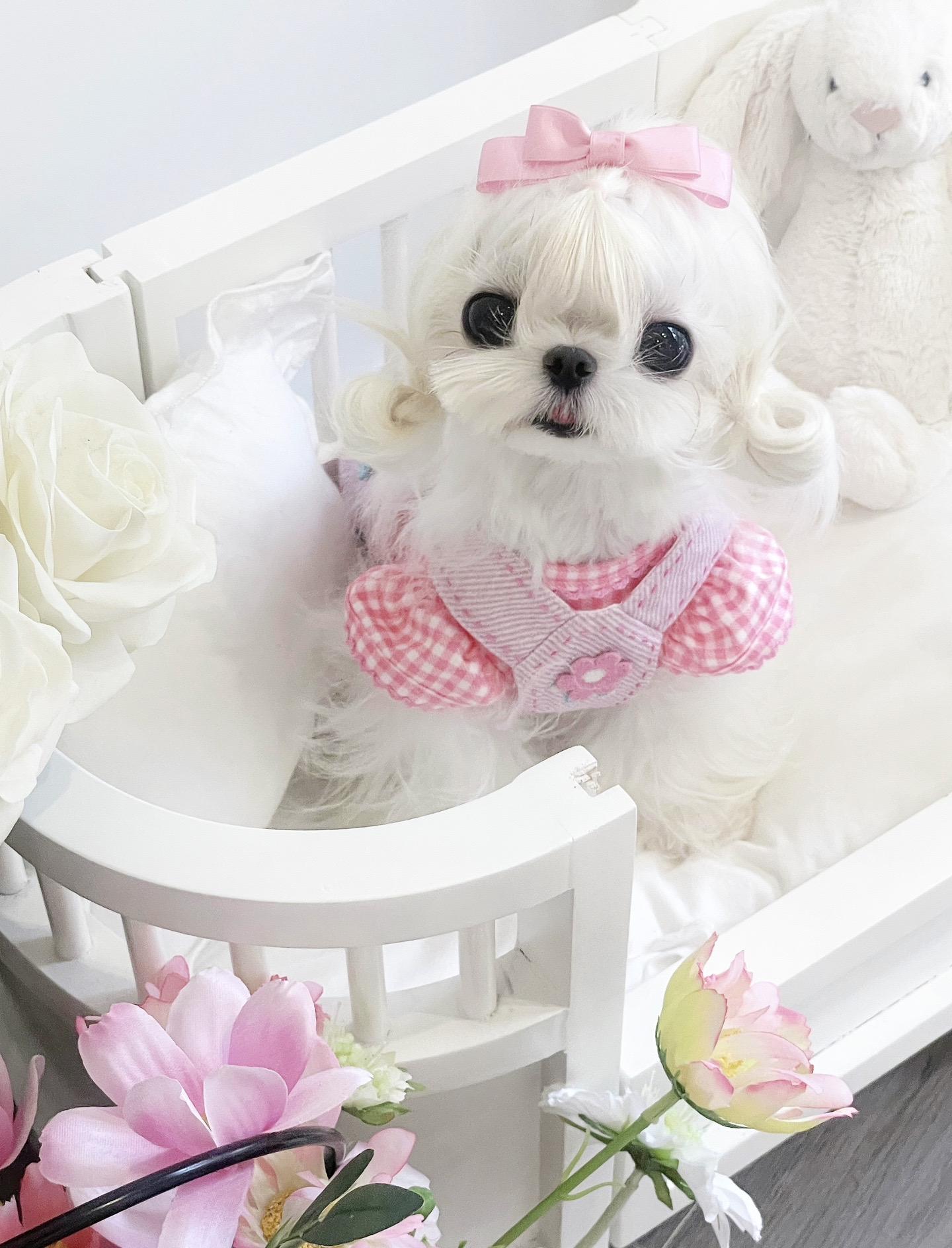 孩子长这样可以当童模吗～