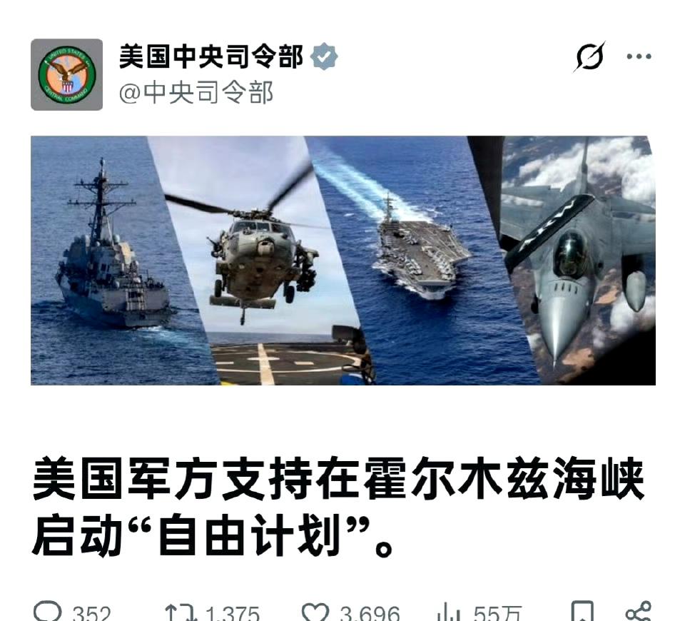 美国中央司令部：

美国军方对“自由计划”提供的支援将包括导弹驱逐舰、100多架