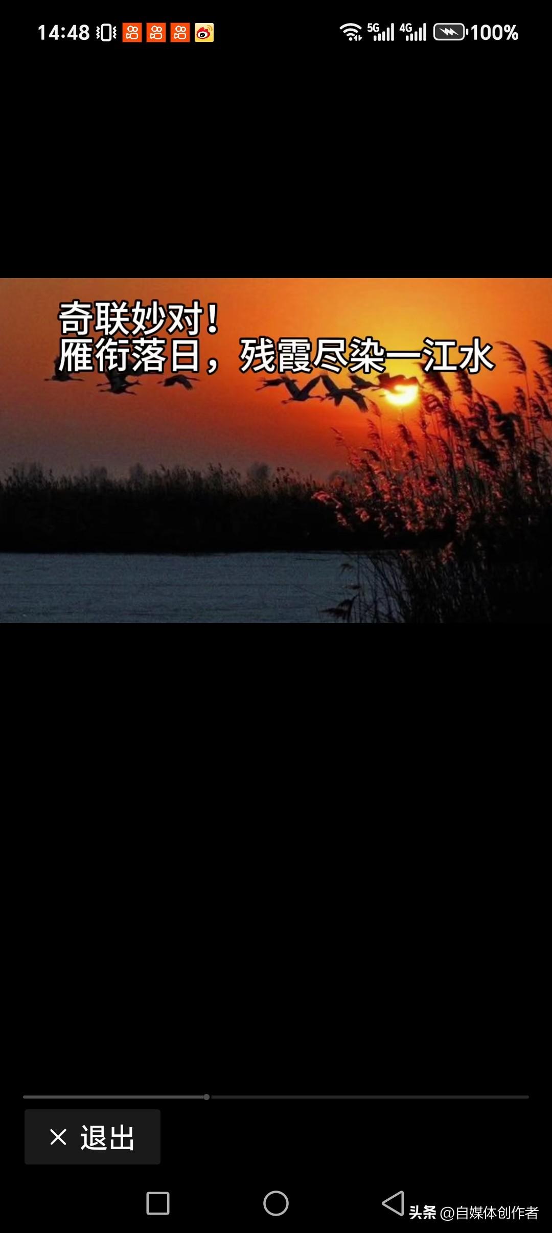 雁衔落日，残霞尽染一江水
柳甩夕阳，寒水狂荡一抹红