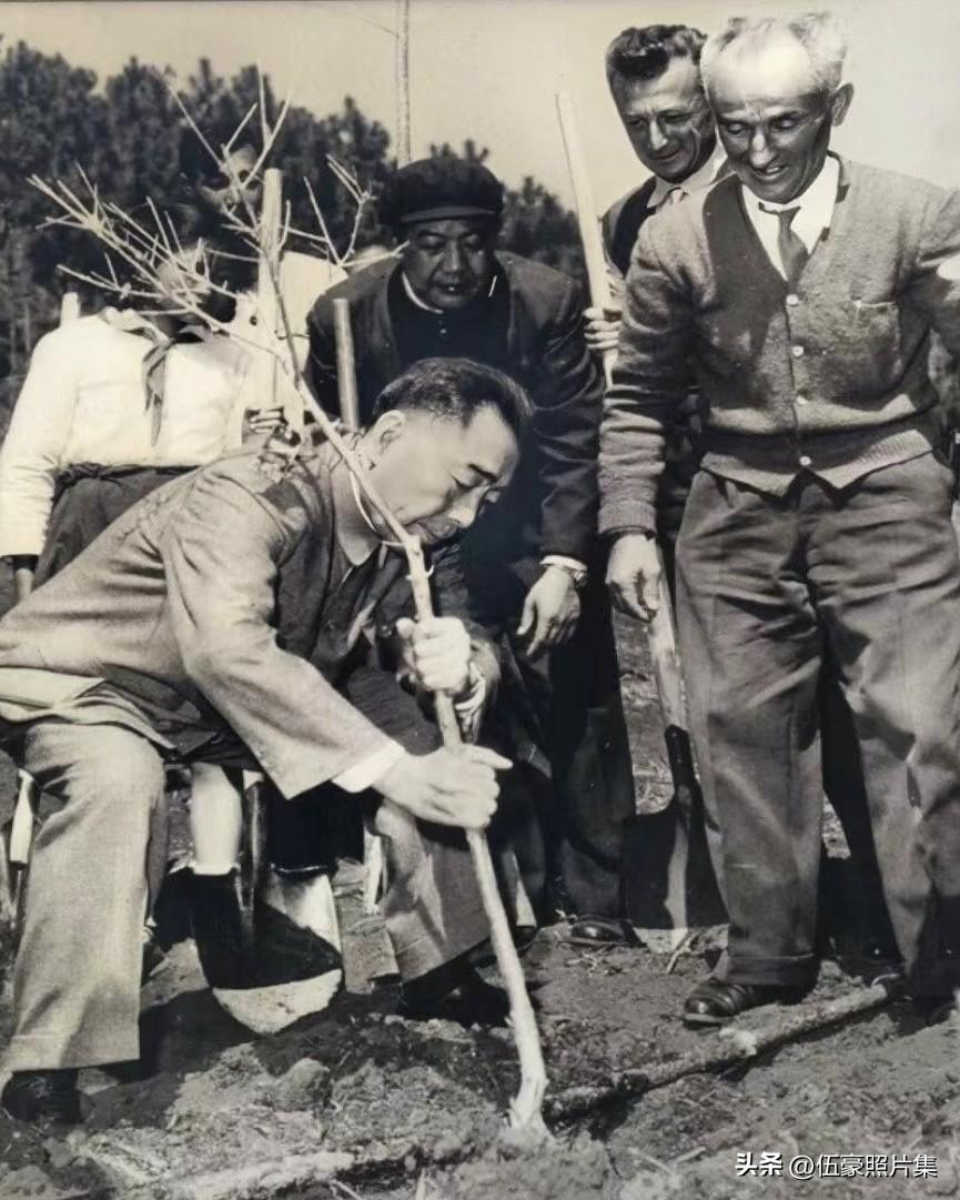 1964年初，周恩来总理与陈毅副总理在结束对亚非国家的访问后，来到云南视察。1月