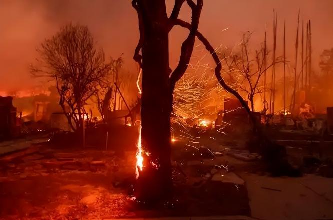 日本和美国早已禁种，中国为何依然大力种植？背后原因不简单

别被“发达国家不种就