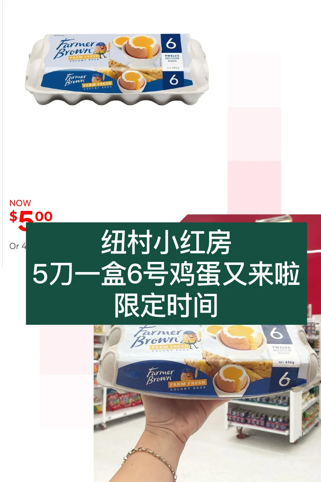 🇳🇿纽村小红房，5刀鸡蛋限时回归