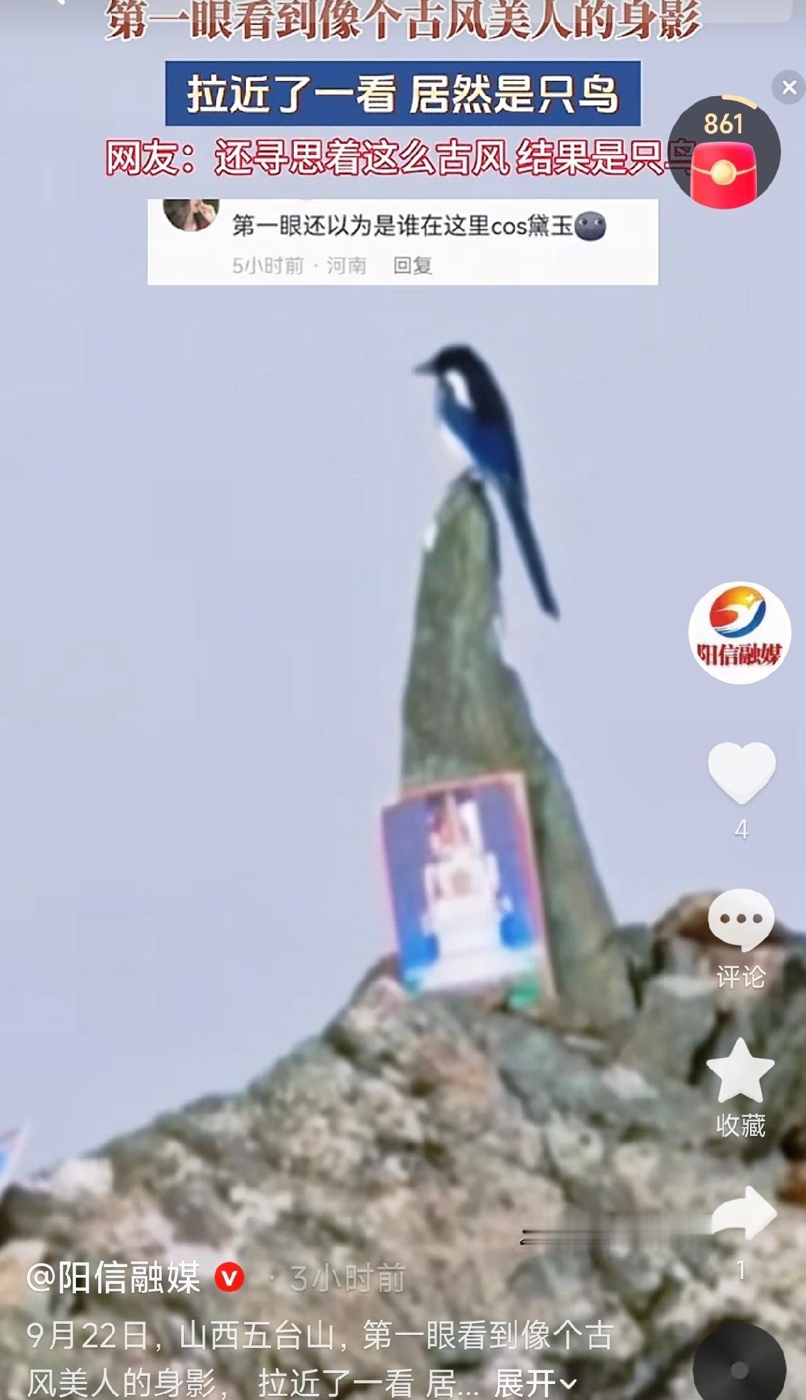 山西五台山，一位网友在顺朝途中，从狮子窝前往吉祥寺的路上，大老远看到一个身影亭亭