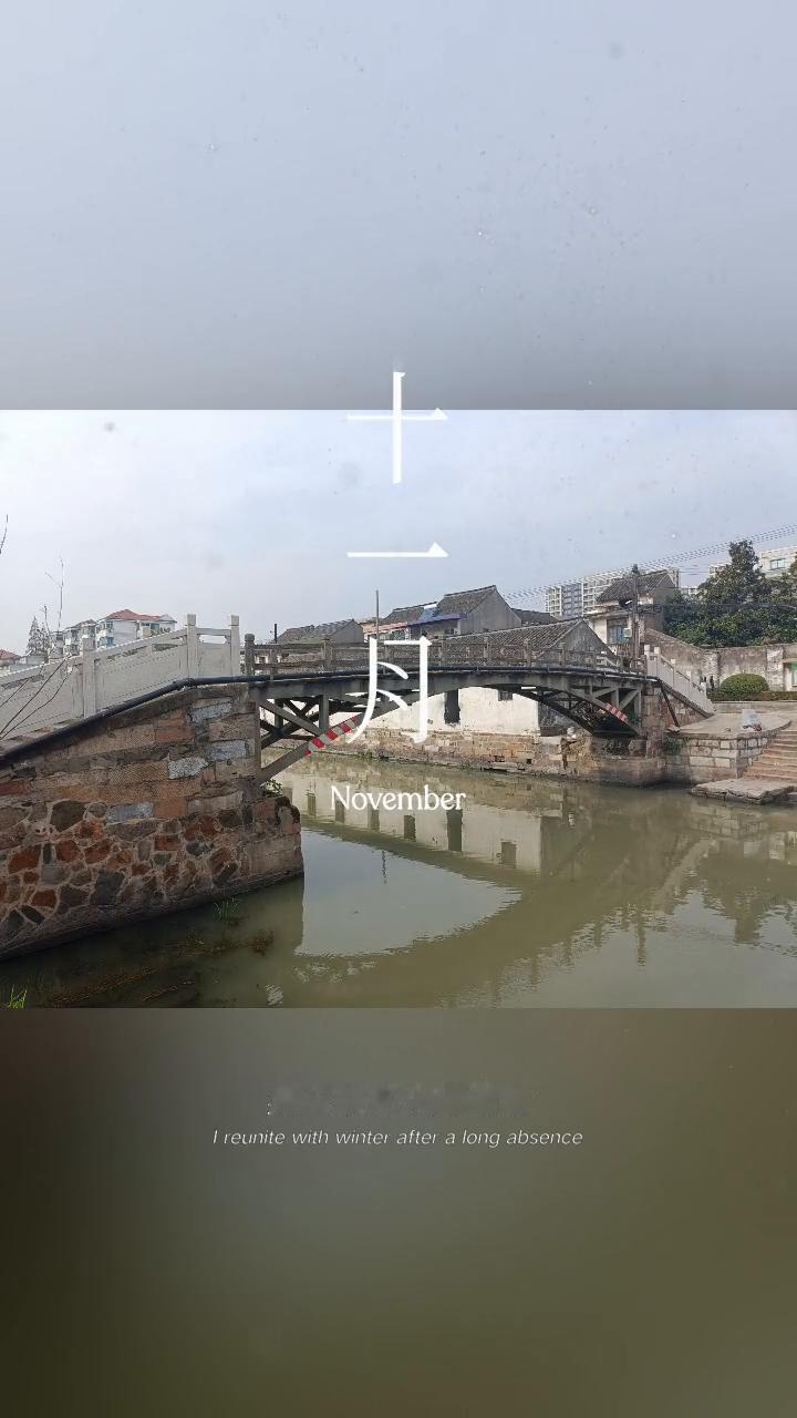 在十一月的渡口，我与新冬久别重逢。时光流转，又与整个四季深爱了一场。认真生活，顺