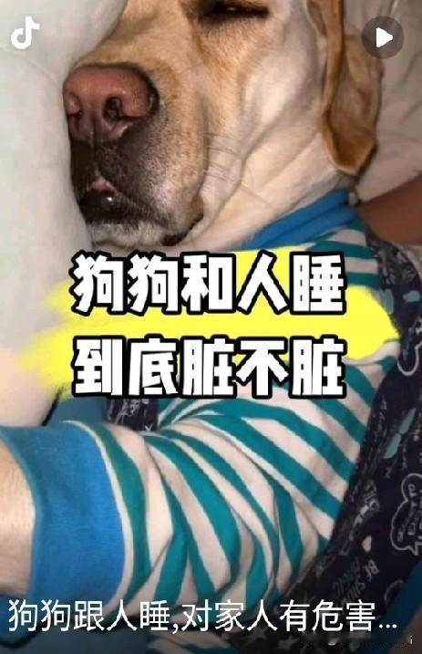 养宠物人的终极快乐！辛苦脑做一天回到家后，很多人大概就是深夜躺在床上，毛茸茸的小