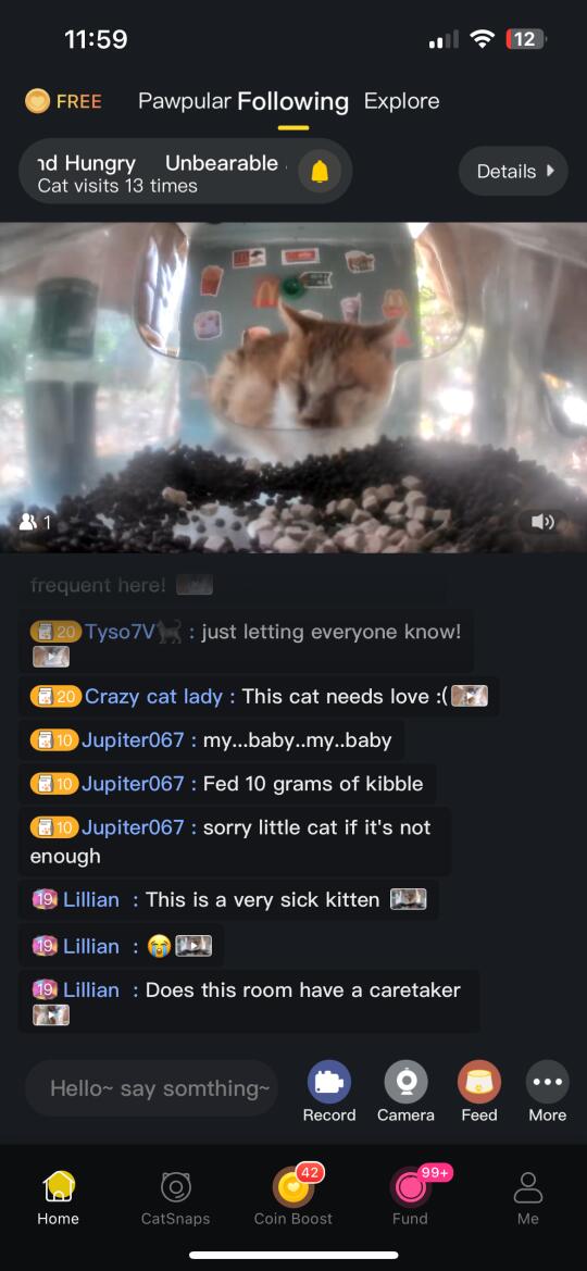 外网喂街猫，求问怎么联系守护人帮帮小猫