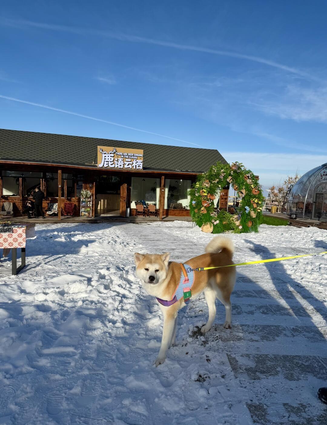 乌鲁木齐南山！新开露营地！宠物友好！！
乌鲁木齐 乌鲁木齐吃喝玩乐 乌鲁木齐周末