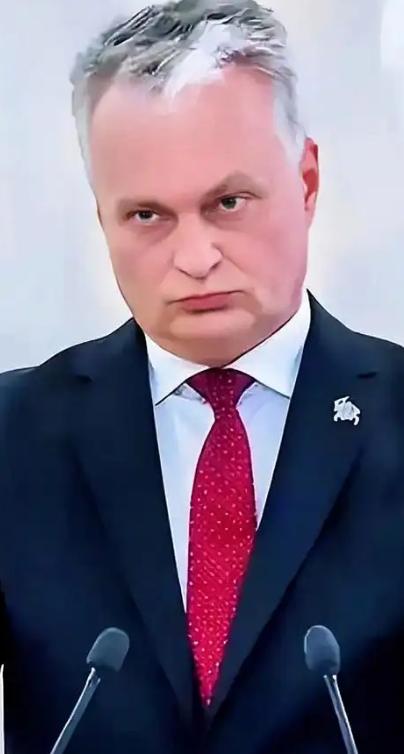 活久见！立陶宛总统瑙塞达为了推脱责任，2月12日他对着立陶宛国家广播电视台公开宣