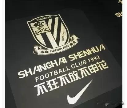 申花和海港就那么点事，球迷吵来吵去又有啥意思？
自从海港晋级中超，这十多年来上海