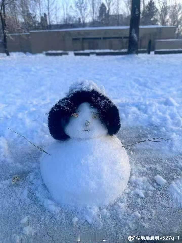 ⛄️大比拼 在艺术方面谁赢了？田栩宁堆的雪人vs田栩宁工作室堆的雪人 田栩宁晒工