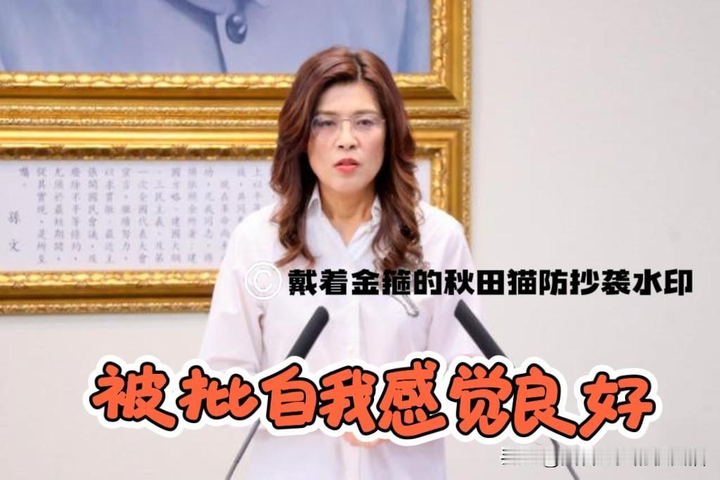 遭批“自我感觉良好”
郑丽文被吴子嘉称为“败票女王”，陈以信公开回应：这是民进党