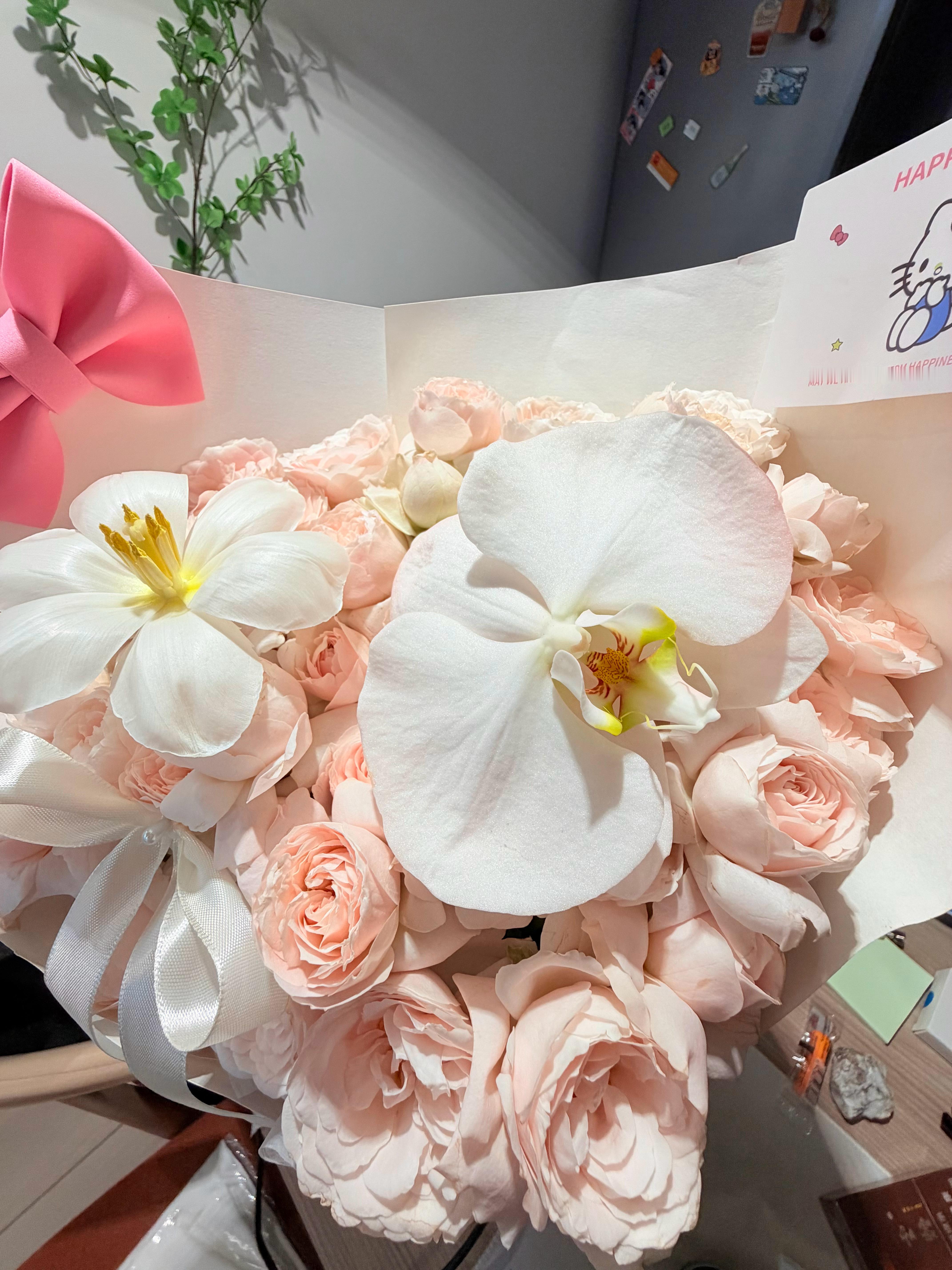 🧩普通日子（深圳真的很好吃！来学习那么久还是没吃够！）