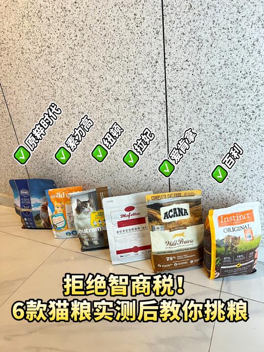 告别养猫选粮焦虑！带你轻松养猫！