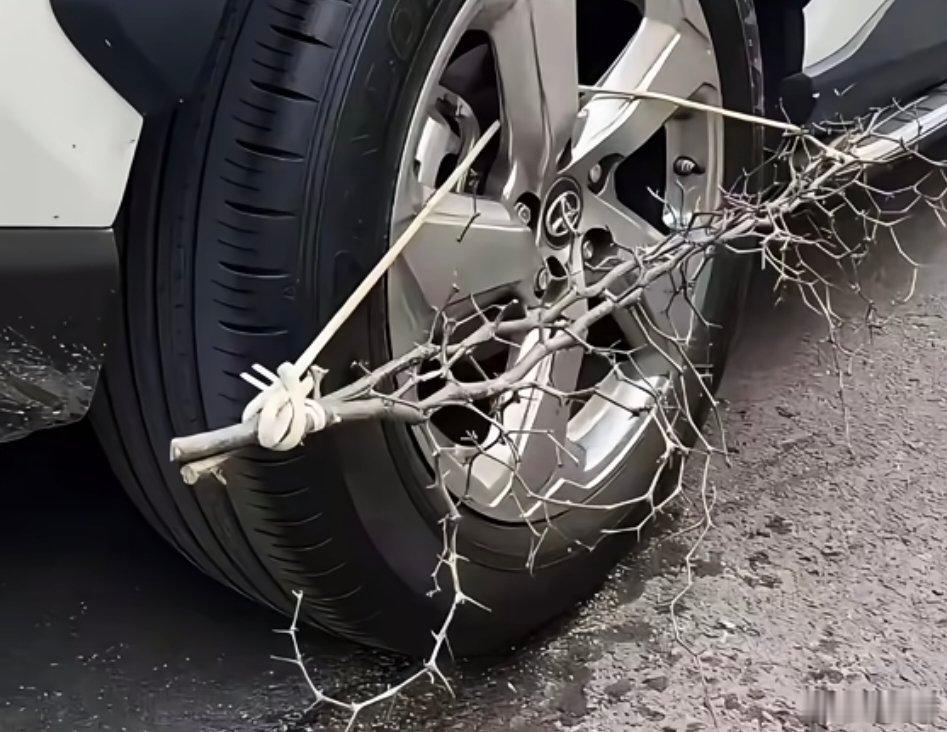 这应该是为了防止🐶撒尿吧，结果好像还是撒上了 