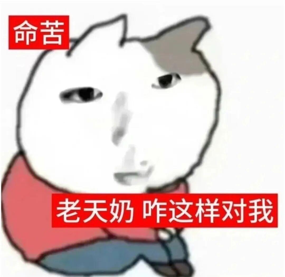 上海下雪说好的江浙沪永远是一家呢，上海下雪了，那浙江呢，浙江什么时候下[捂嘴哭]