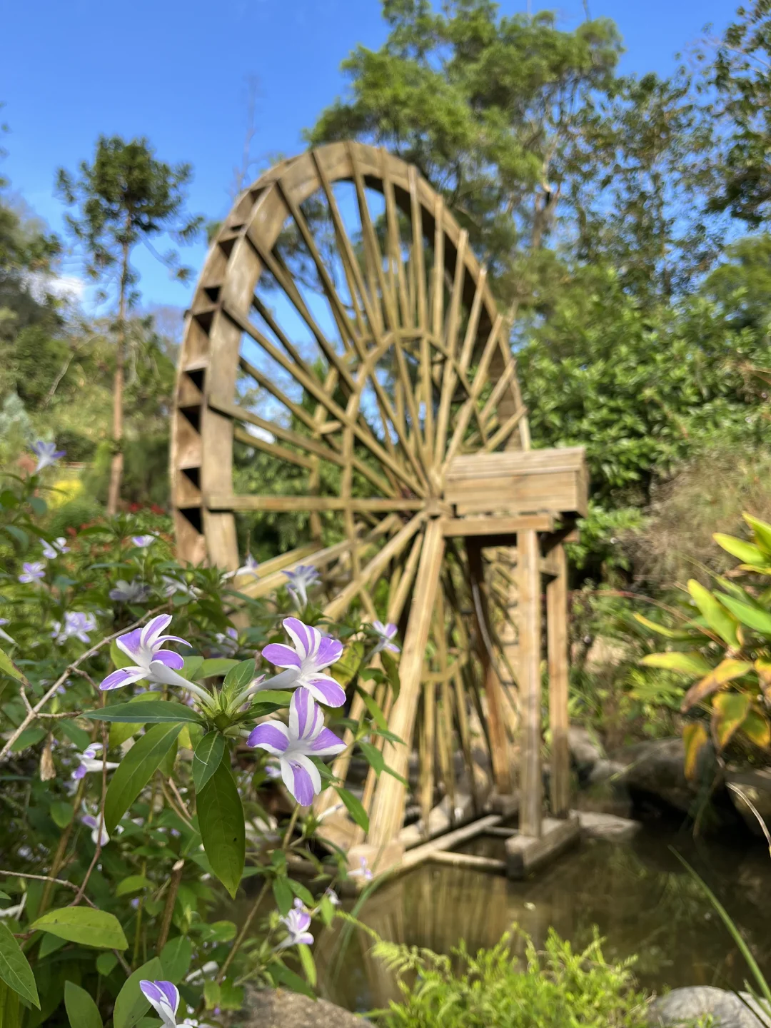 森林公园随拍｜享受和大自然的亲密接触🍃