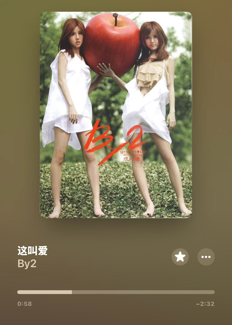 她们的歌挺好听的 