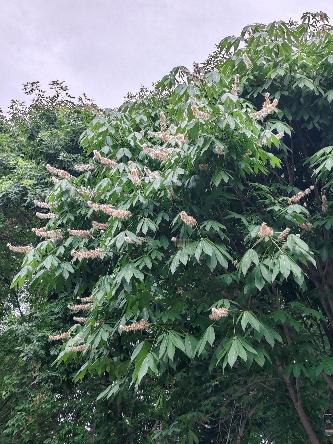 玩的是感觉，玩的是年龄，玩的是环境状况。感觉变了，年龄变了，环境变了，自然玩法也