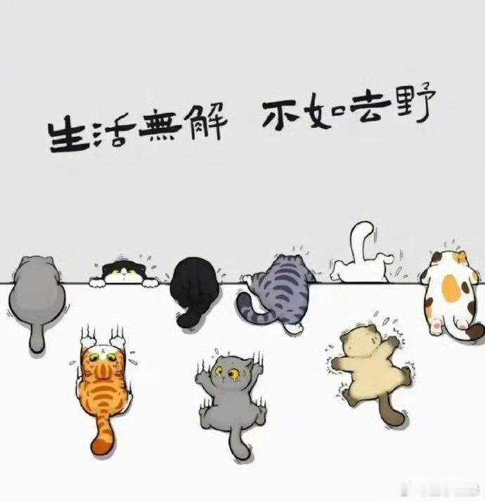 -                         半得半失半圆满   半醒半释