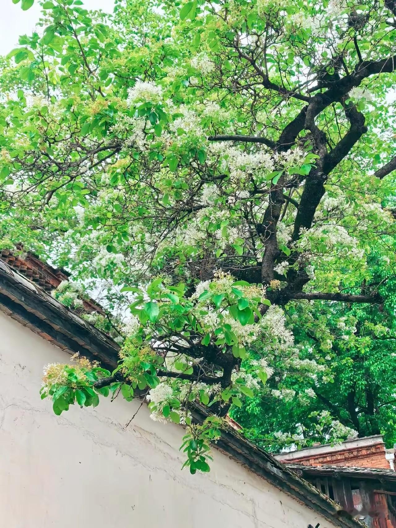 网红探店乱象曝光｜消费避坑干货，一眼辨真假不踩雷
 
一、网红探店4大乱象，全是