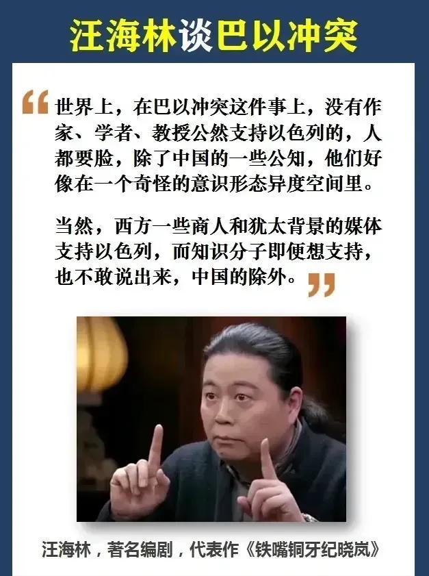 为何是中国的知识分子不要脸面？王海林谈巴以冲突中中国知识分子的表现，可谓一针见血