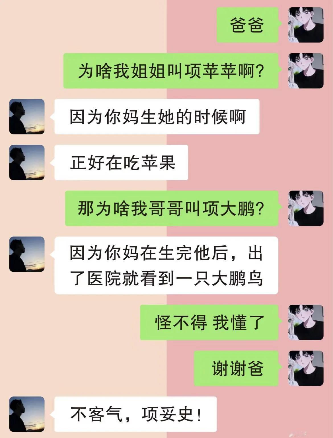 懂啥了