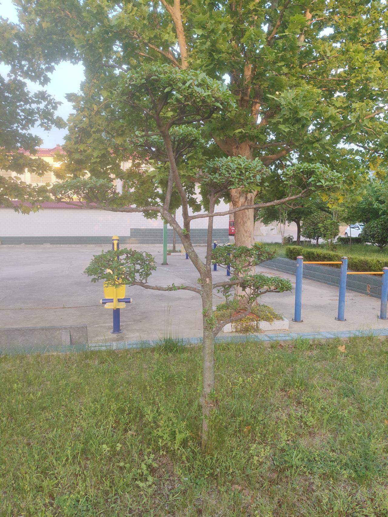 咱普通人的幸福，全藏在这烟火小广场里！
 
谁还说只有高楼大厦、网红打卡地才叫生