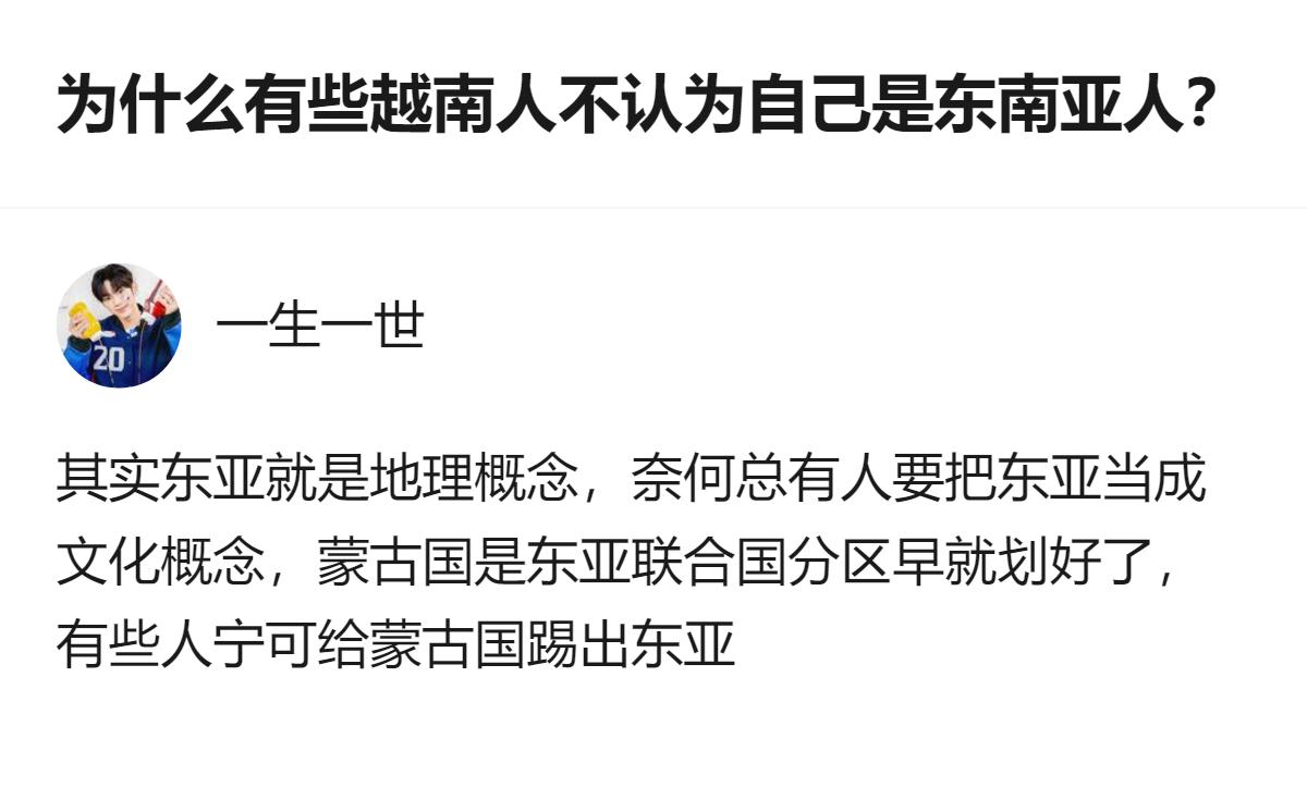 针对越南人不认为自己是东南亚人的讨论，有人指出东亚本是地理概念，却常被当成文化概