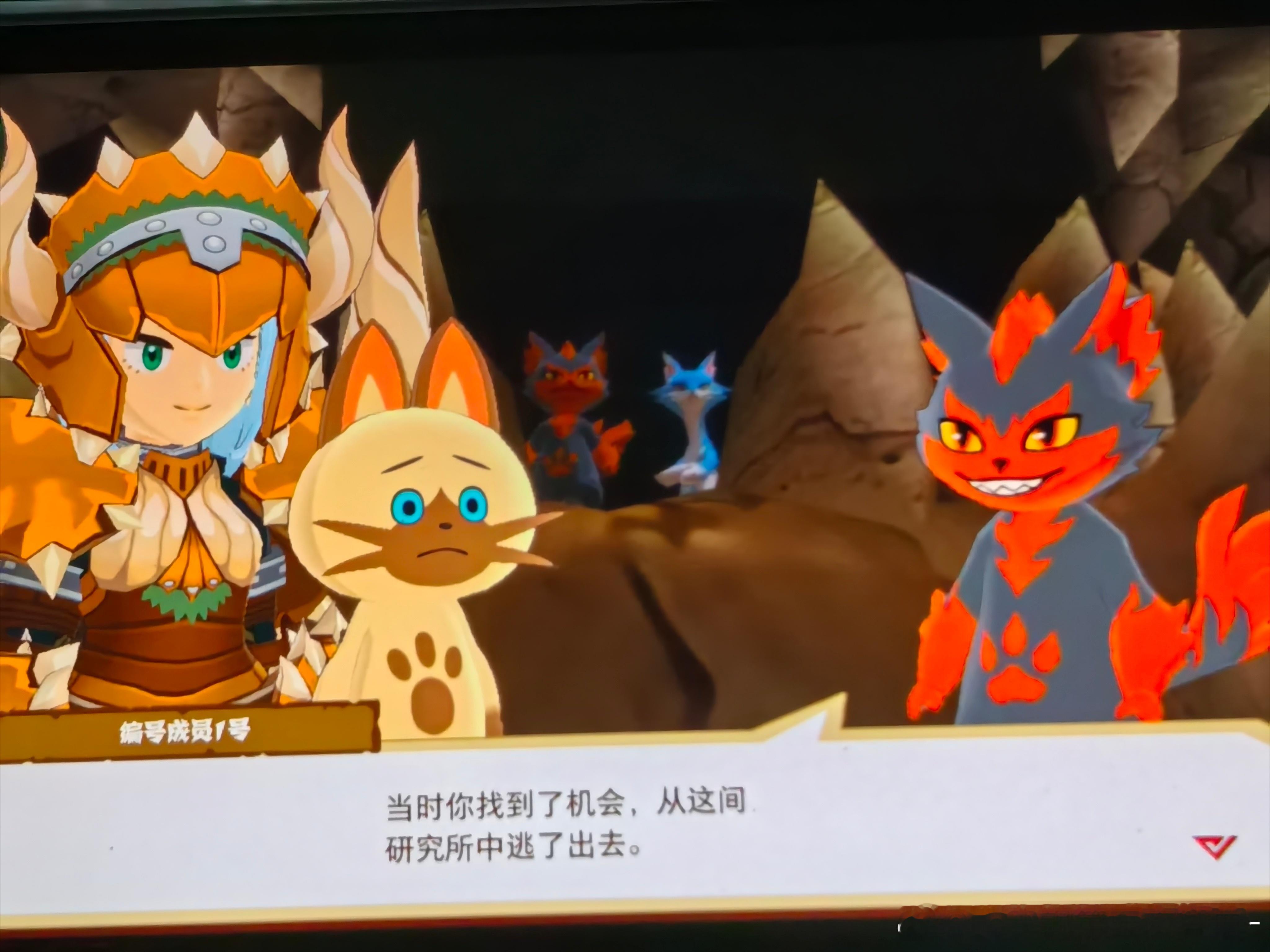 5号居然是长得最普通的一只艾露猫 