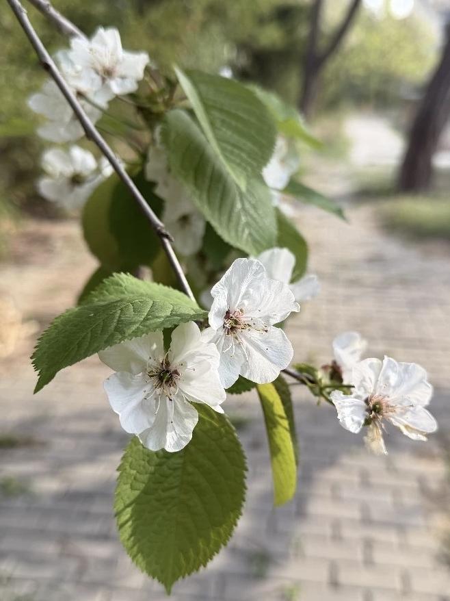 若想完全禁止高铁站台吸烟，这难度是挺大挺大的！